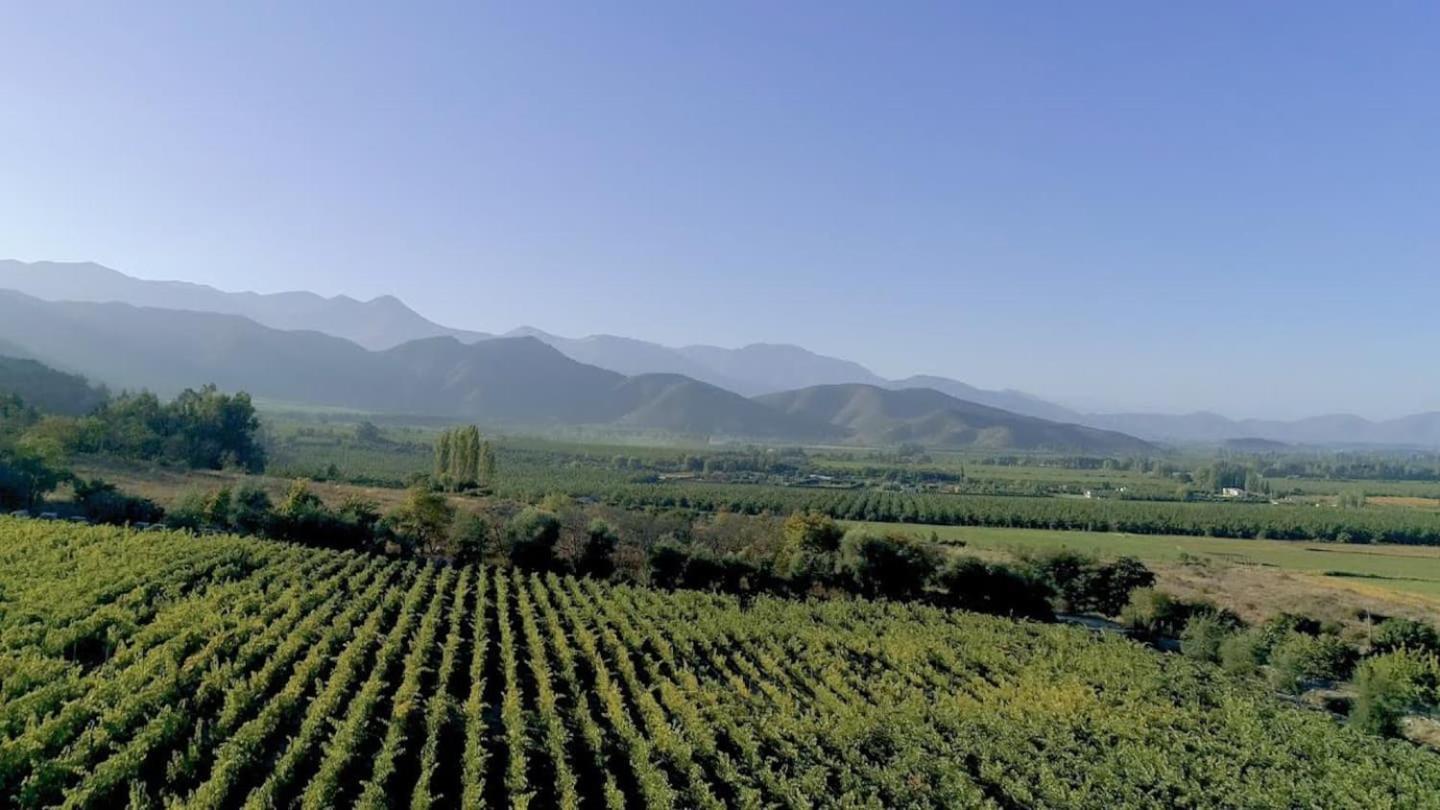 Paine Vina Lof - Maipo Valley Bed & Breakfast In Winery المظهر الخارجي الصورة
