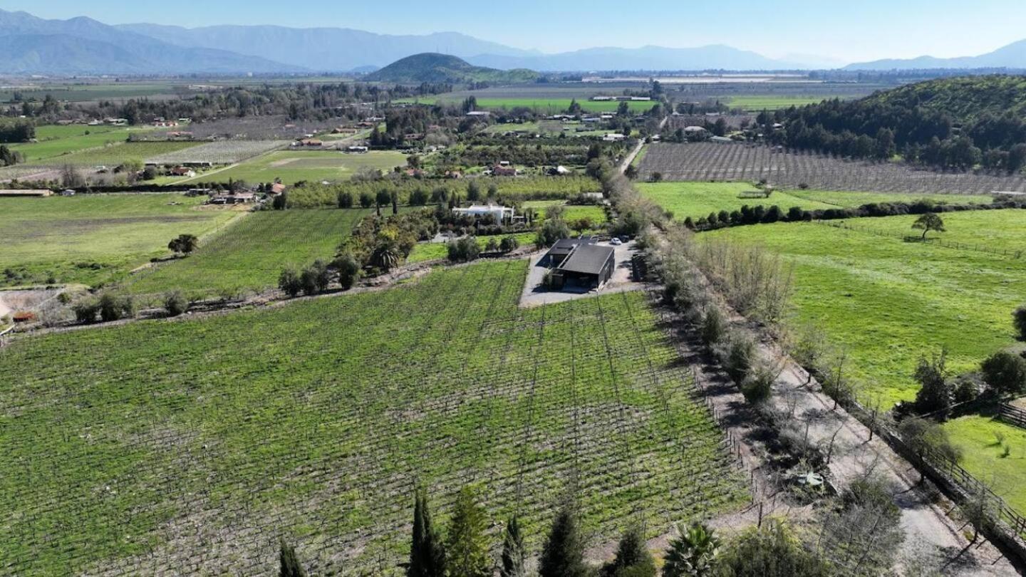 Paine Vina Lof - Maipo Valley Bed & Breakfast In Winery المظهر الخارجي الصورة