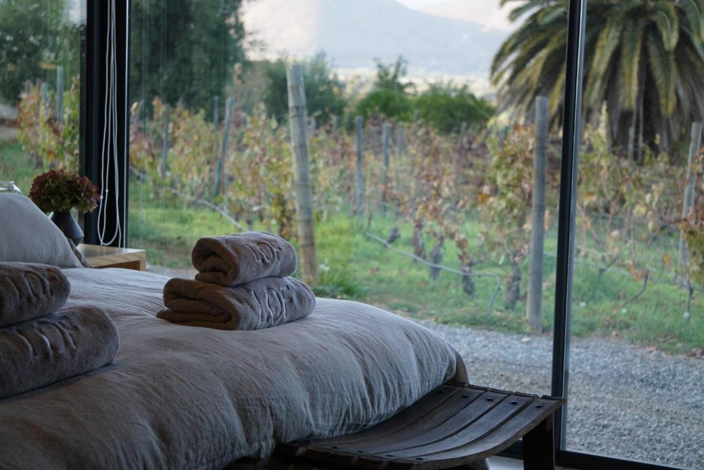 Paine Vina Lof - Maipo Valley Bed & Breakfast In Winery المظهر الخارجي الصورة