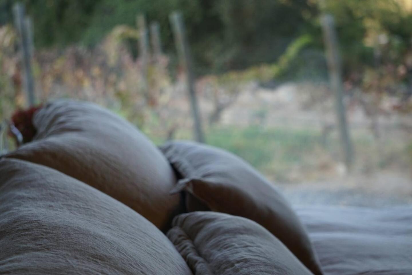 Paine Vina Lof - Maipo Valley Bed & Breakfast In Winery المظهر الخارجي الصورة