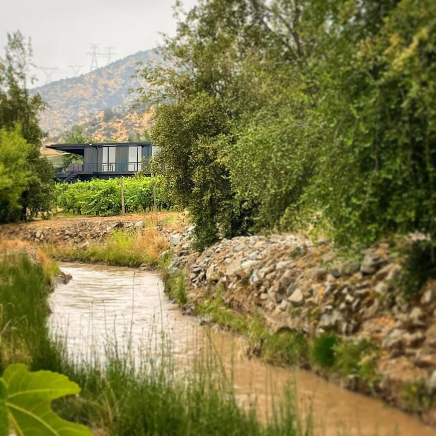 Paine Vina Lof - Maipo Valley Bed & Breakfast In Winery المظهر الخارجي الصورة