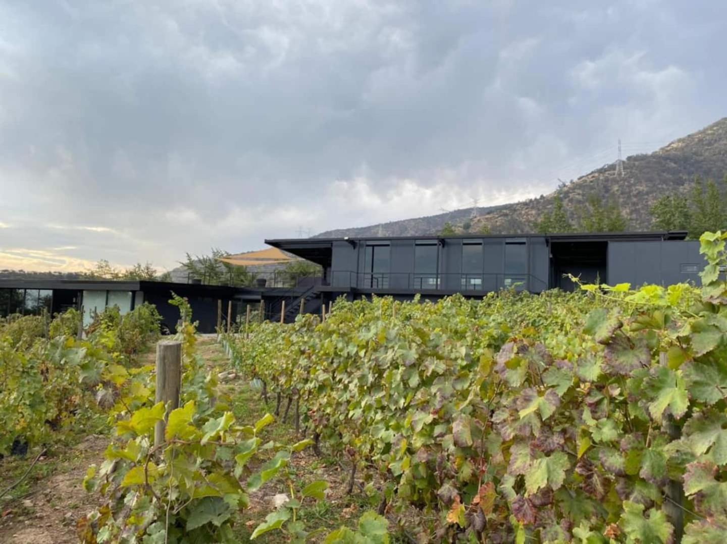 Paine Vina Lof - Maipo Valley Bed & Breakfast In Winery المظهر الخارجي الصورة