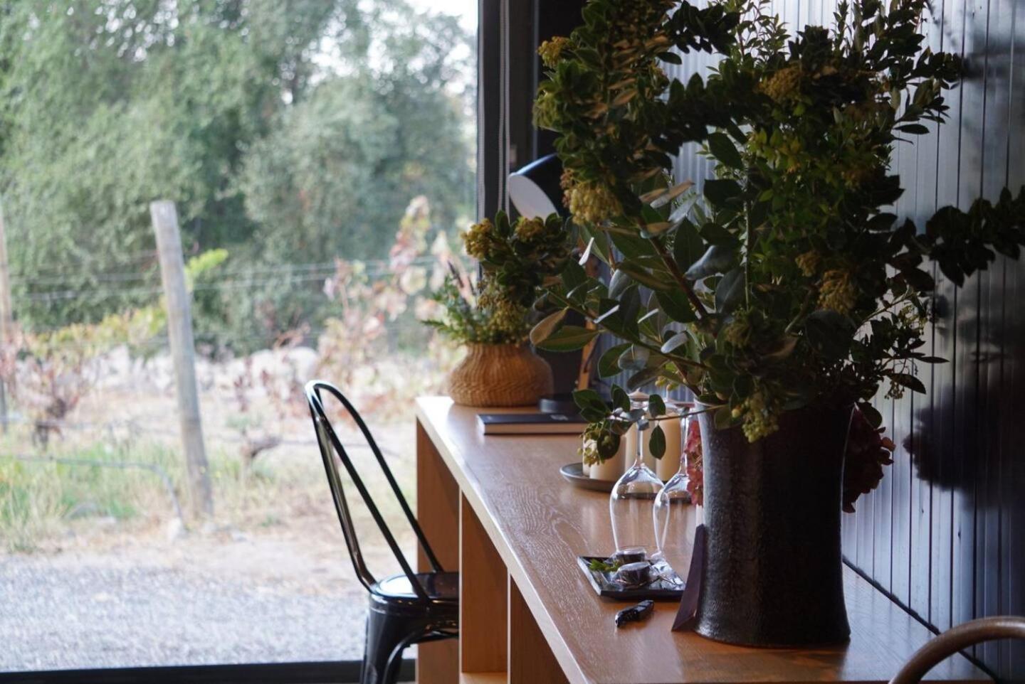 Paine Vina Lof - Maipo Valley Bed & Breakfast In Winery المظهر الخارجي الصورة