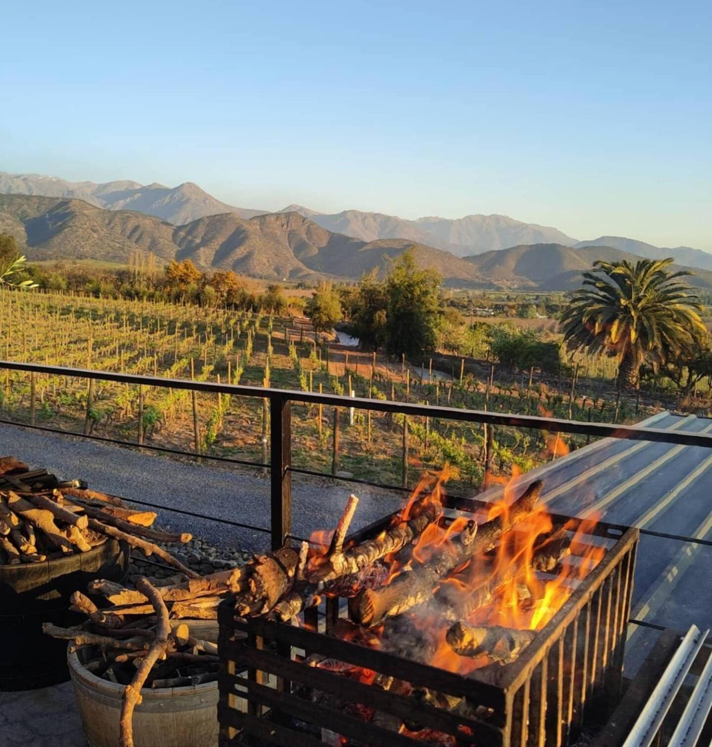 Paine Vina Lof - Maipo Valley Bed & Breakfast In Winery المظهر الخارجي الصورة