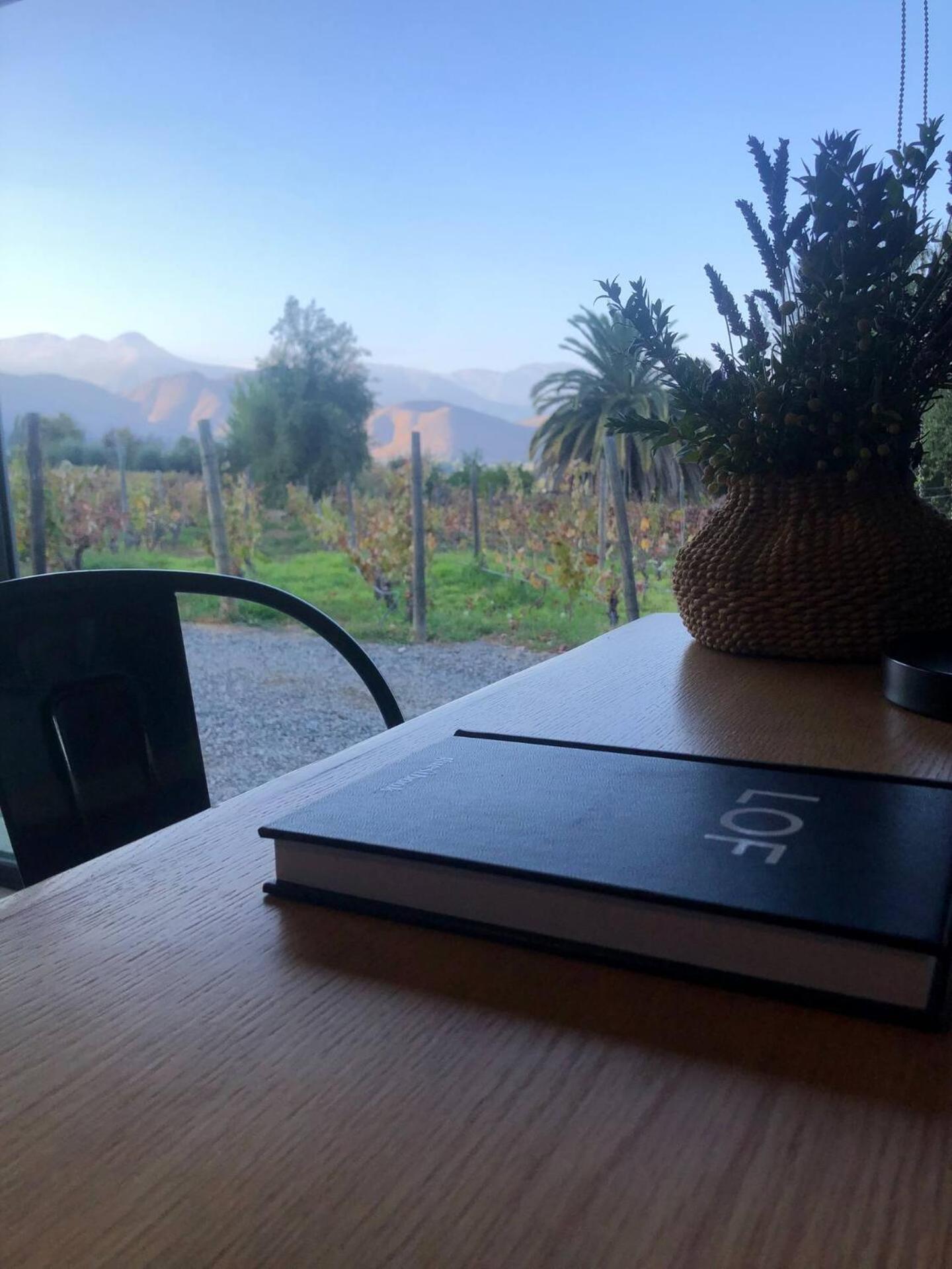 Paine Vina Lof - Maipo Valley Bed & Breakfast In Winery المظهر الخارجي الصورة