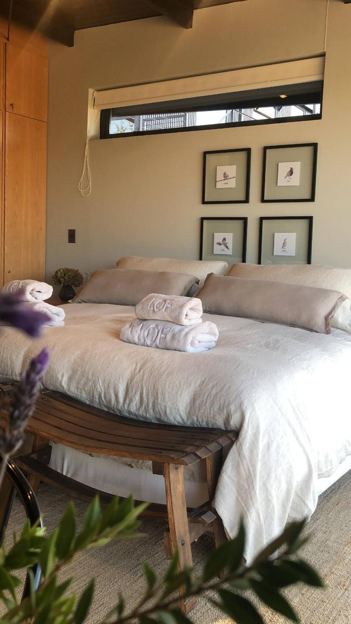Paine Vina Lof - Maipo Valley Bed & Breakfast In Winery المظهر الخارجي الصورة