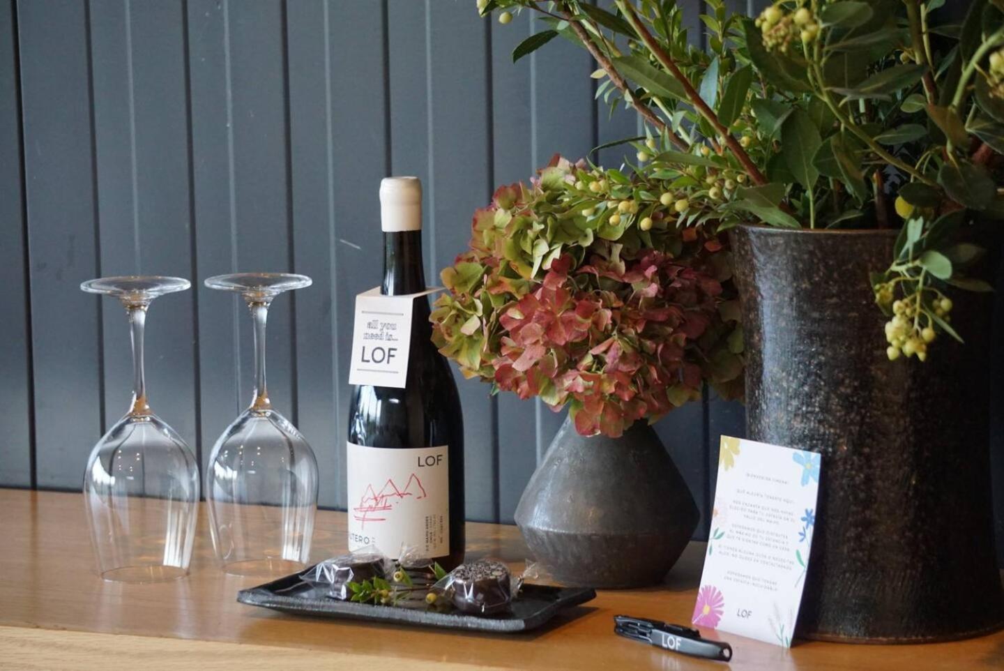 Paine Vina Lof - Maipo Valley Bed & Breakfast In Winery المظهر الخارجي الصورة